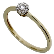 Prsten s diamanty SR33154-54